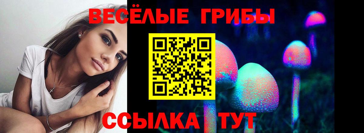 Псилоцибиновые грибы GOLDEN TEACHER  Псилоцибиновые грибы мицелий  Вход с VPN  даркнет сайт  Волгодонск 